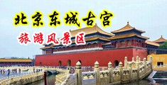 hd学生妹中国北京-东城古宫旅游风景区